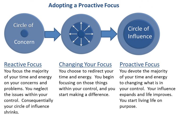 reactive and proactive focus